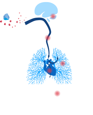 zdrowie-uklad-oddechowy.c1a0f814