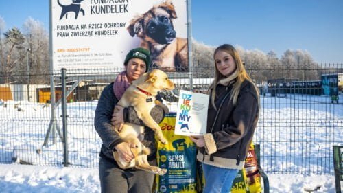 Wszystkie wiadomości - fot 1 okladka Schornisko JPG 36