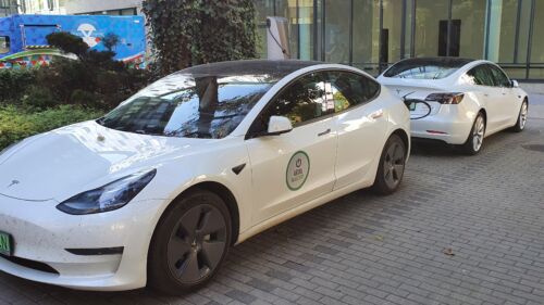 Wszystkie wiadomości - arval 12