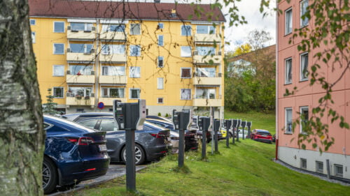 Wszystkie wiadomości - Illustrasjonsbilder ELB 07549 Foto Jamieson Pothecary