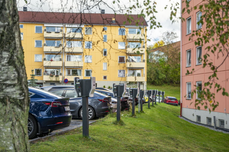 Wszystkie wiadomości - Illustrasjonsbilder ELB 07549 Foto Jamieson Pothecary