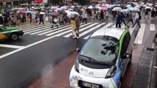 Wszystkie wiadomości - jedynka magazyn trojaczki