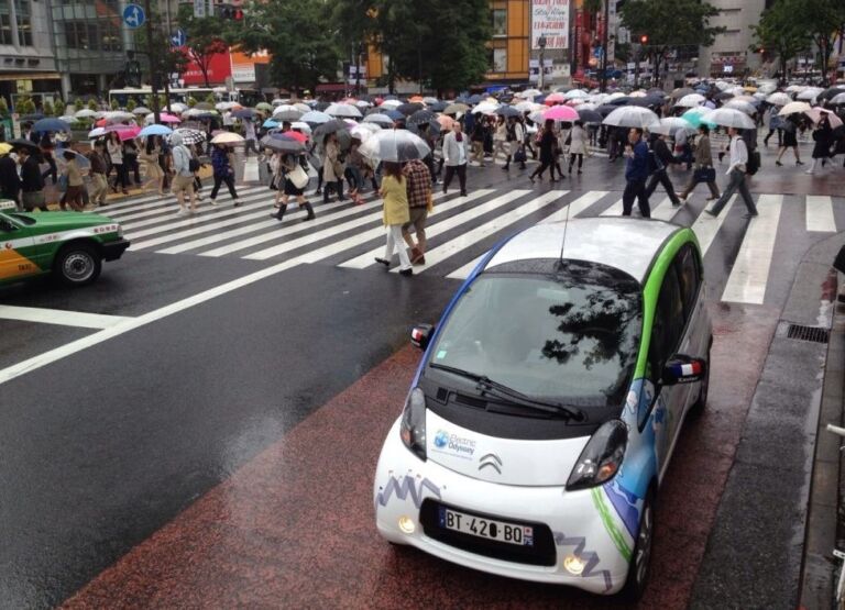 Wszystkie wiadomości - jedynka magazyn trojaczki