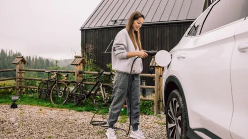 Wszystkie wiadomości - Greencell Habu jpg