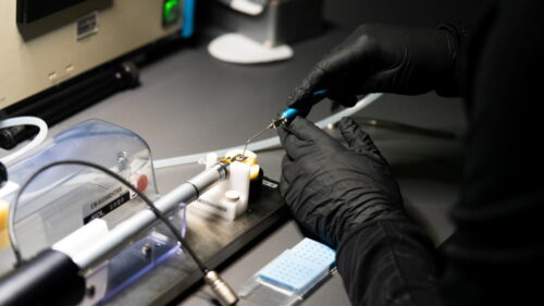 Wszystkie wiadomości - TRI NW 2