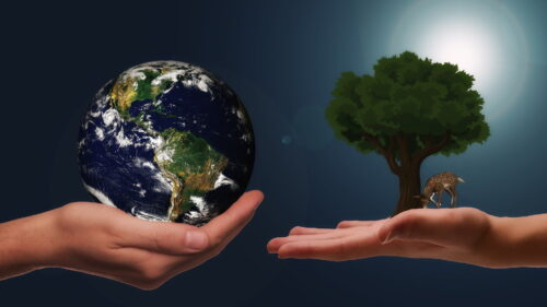 Wszystkie wiadomości - bluewhale