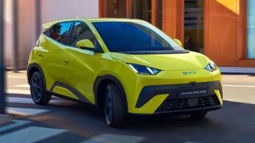 Wszystkie wiadomości - byd dolphin surf 2 jpg