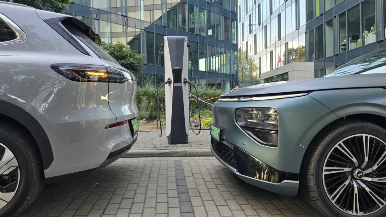 Wszystkie wiadomości - rynek bev raporty acea psnm pfr