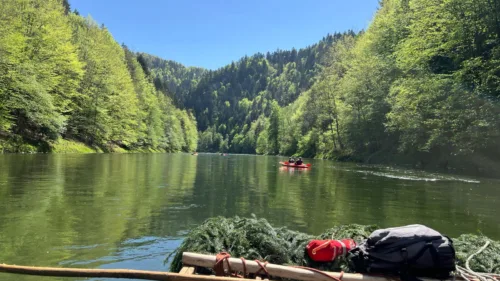Wszystkie wiadomości - wisla orlen