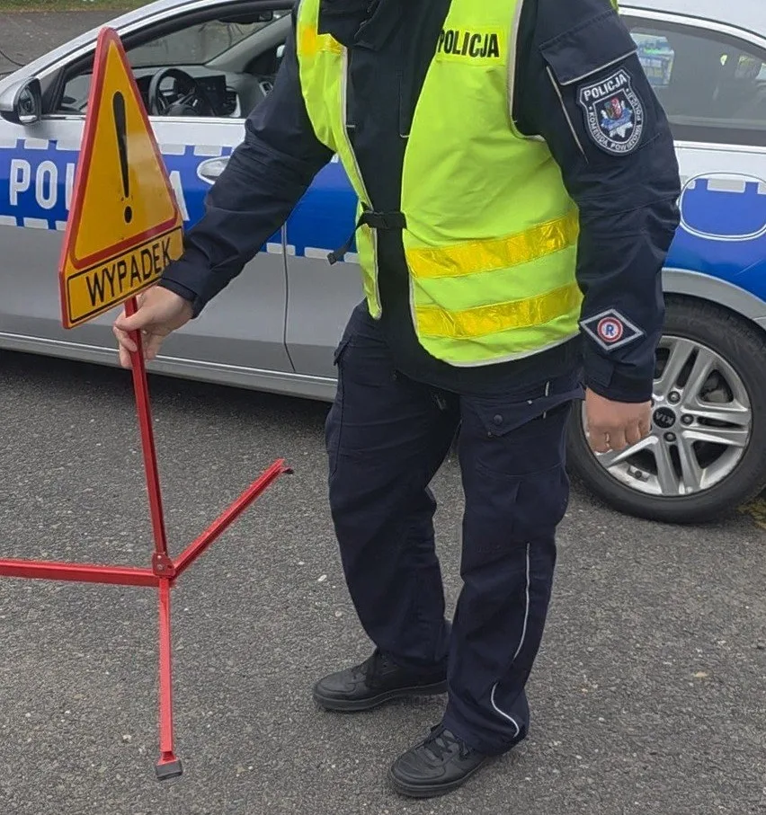 Kolizja z autem na zagranicznych „blachach”? Spokojnie, to nie koniec świata - 207 313846