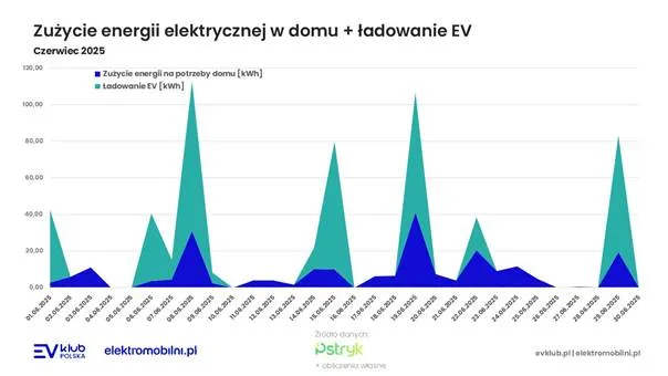 Taryfa dynamiczna w czerwcu 2025: Ujemna cena i rekordowe oszczędności - image 1