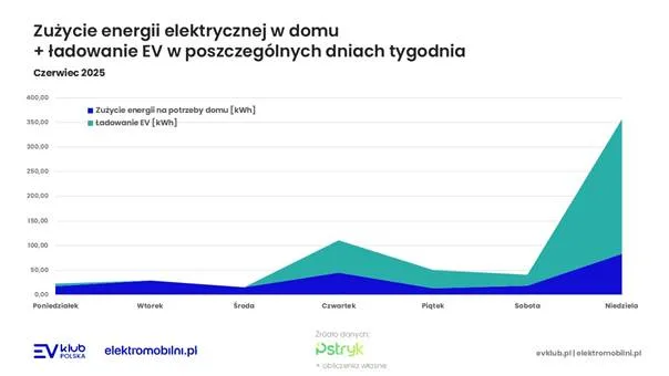 Taryfa dynamiczna w czerwcu 2025: Ujemna cena i rekordowe oszczędności - image 4