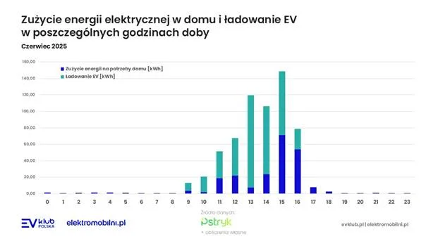 Taryfa dynamiczna w czerwcu 2025: Ujemna cena i rekordowe oszczędności - image 6