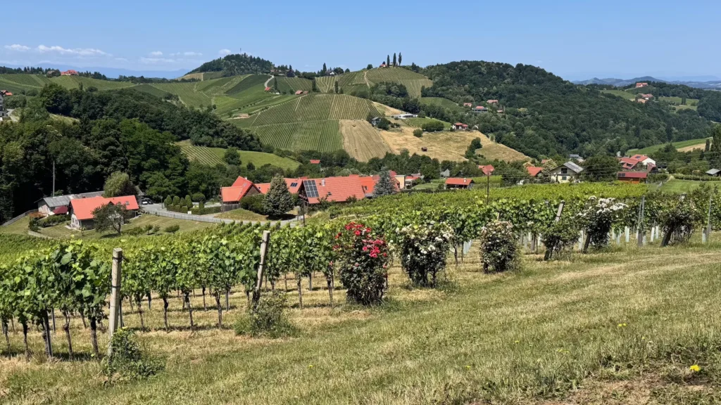 Winnica w Styrii (Austria)