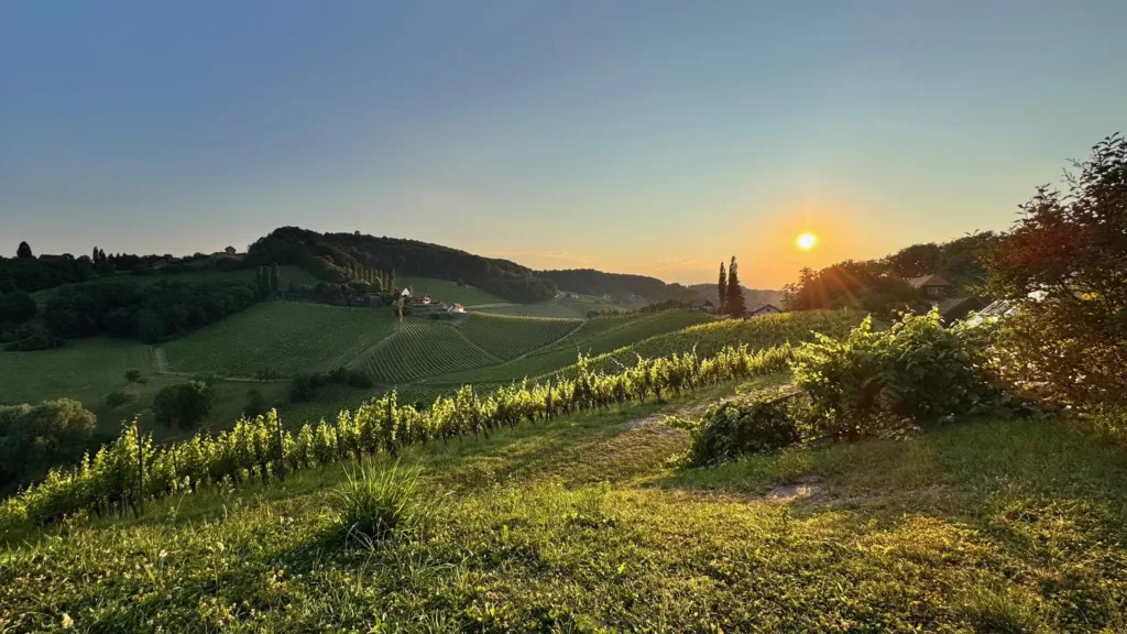 Widok na krajobraz z winnicami na Hochgrassnitzberg w Styrii (Austria)