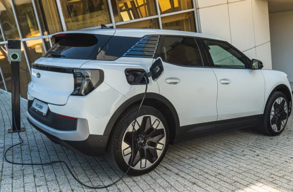 Testy i opinie - 4 amerykanie kupuja