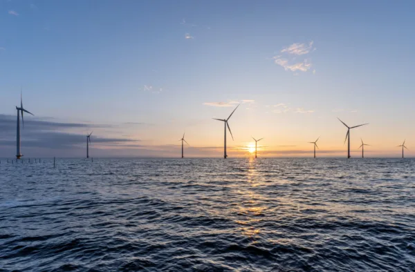 Testy i opinie - MFW.jpg.coredownload