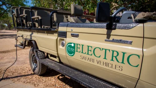 Wszystkie wiadomości - 1 cisza na safari