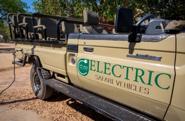 Testy i opinie - 1 cisza na safari