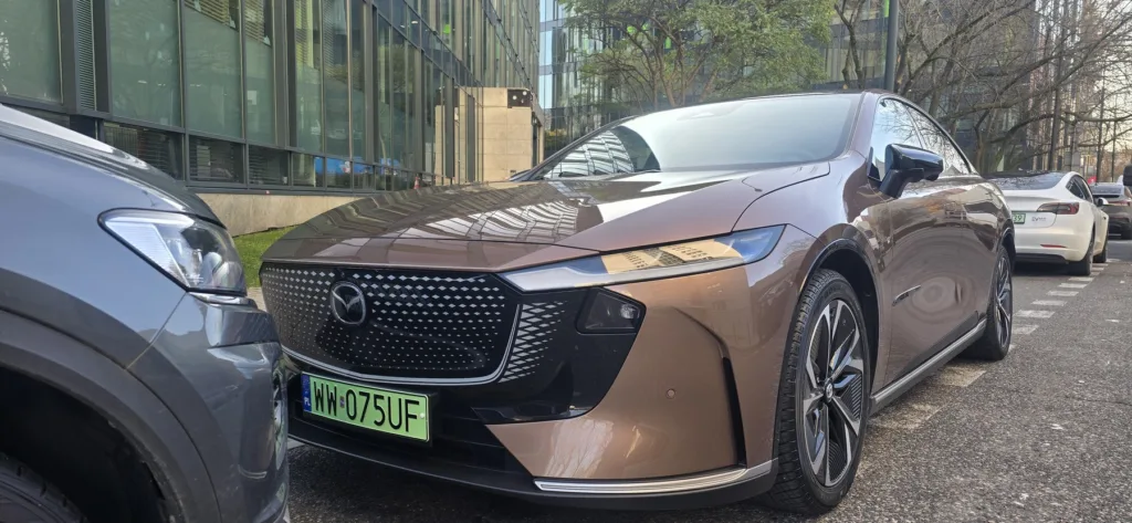 Elektryki z rekordem i udziałem w rynku rzędu 10,1%. Chińczycy do listopada sprzedali prawie 40 tys. aut.   - 2 elektryki z rekordem samar