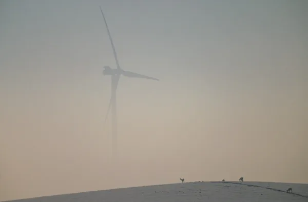 Testy i opinie - ORLEN farmy wiatrowe Subkowy