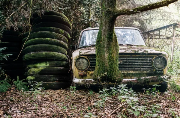 Źródło: Freepik.com