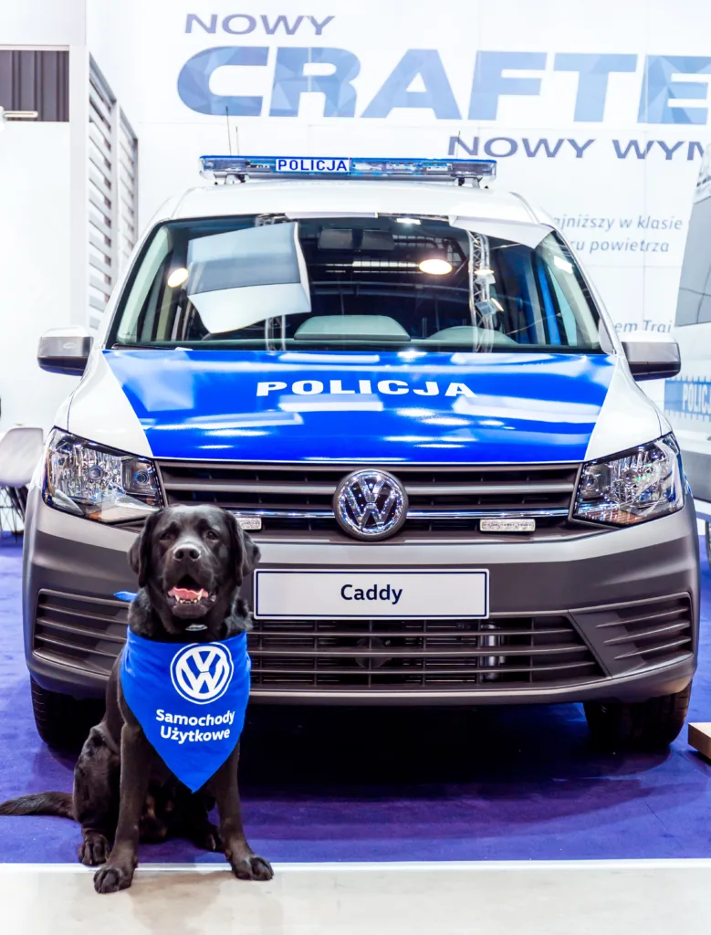 Austria mówi „nie” elektrycznym radiowozom. 160 km/h to za mało. Polska Policja jedzie dalej na bateriach Austria mówi „nie” elektrycznym radiowozom. 160 km/h to za mało. Polska Policja jedzie dalej na bateriach - Austria mowi nie 2