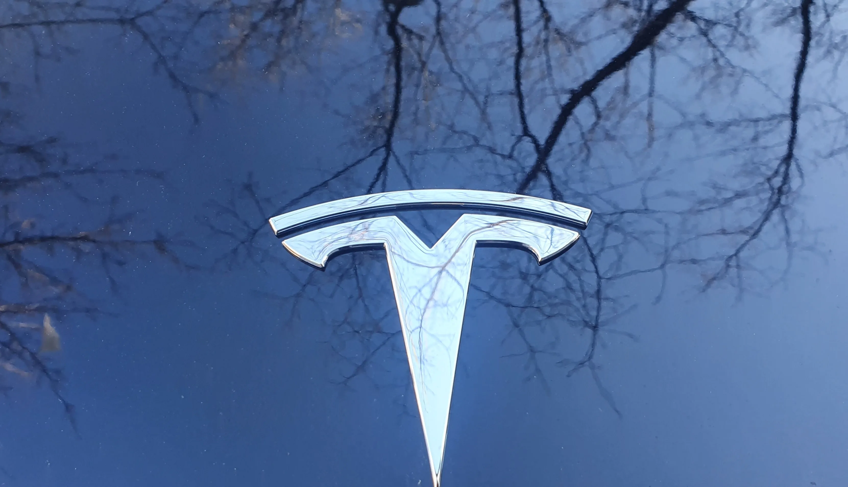 tesla sprzedaż sierpień europa