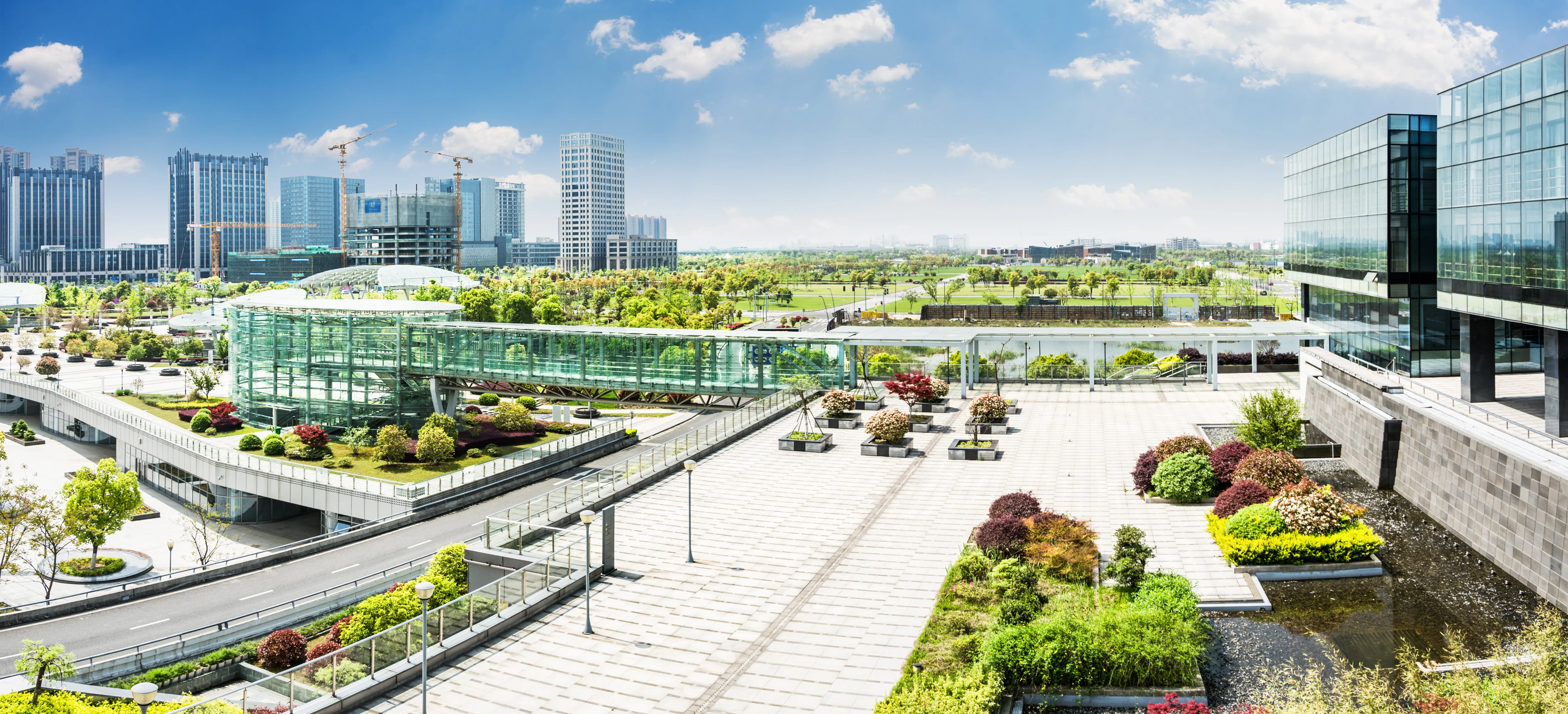 City park under blue sky with Downtown Skyline in the Background